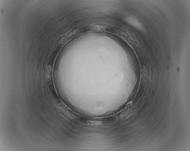 X0000080130649200701051420