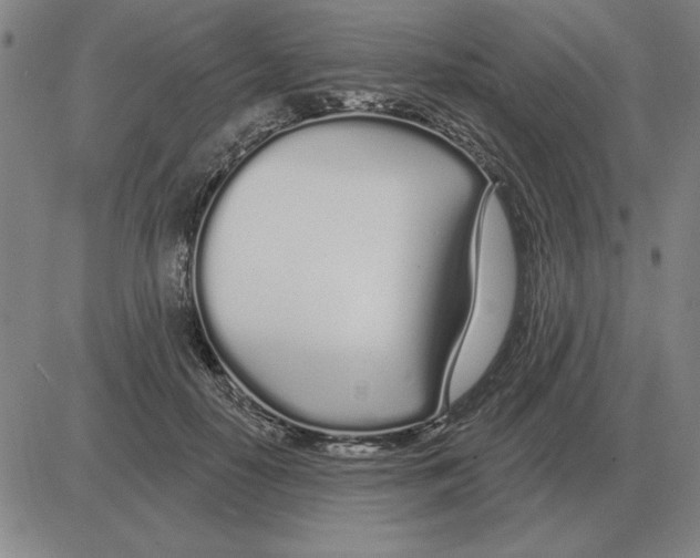 X0000080130650200701051420