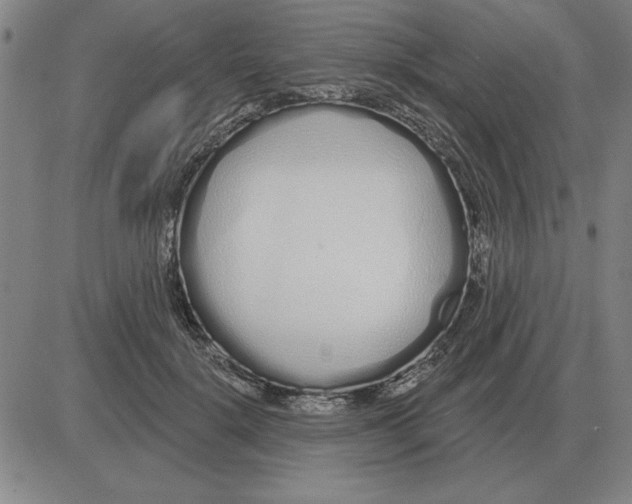 X0000080130652200701051420