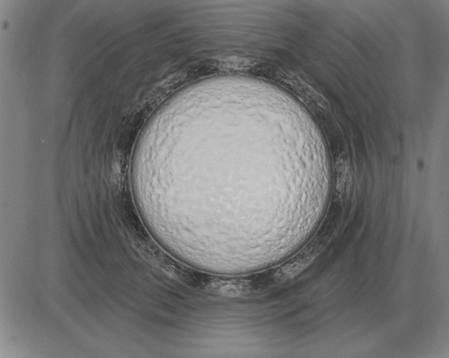 X0000080130655200701051420