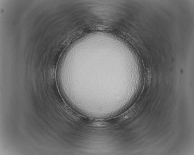 X0000080130657200701051420