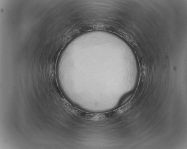 X0000080130663200701051420