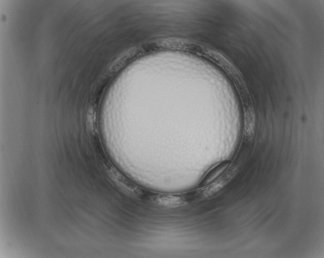 X0000080130669200701051421