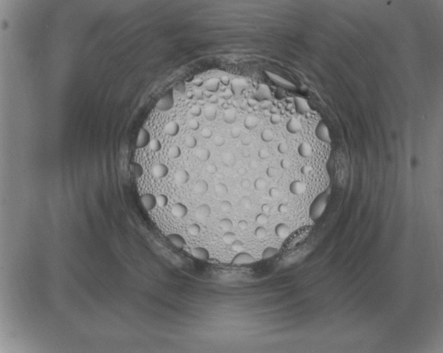 X0000080130670200701051421