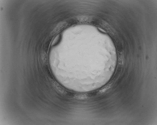 X0000080130671200701051421