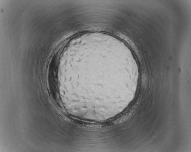 X0000080130673200701051420