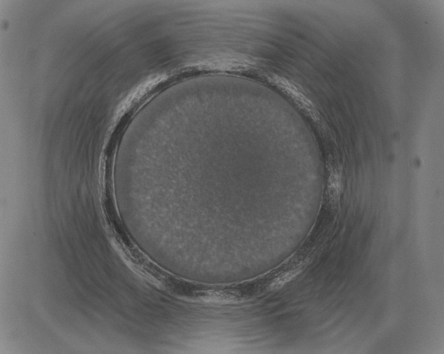 X0000080130678200701051420