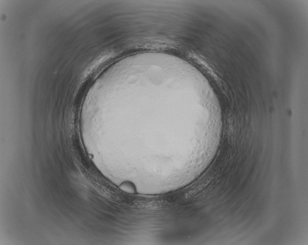 X0000080130679200701051420