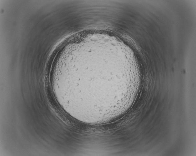 X0000080130680200701051420