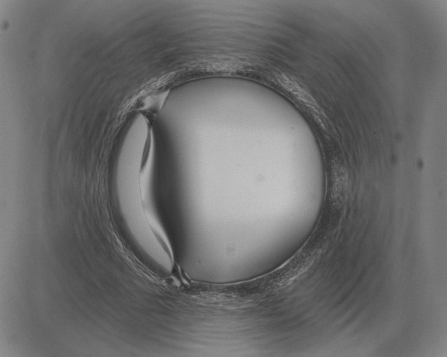 X0000080130681200701051420