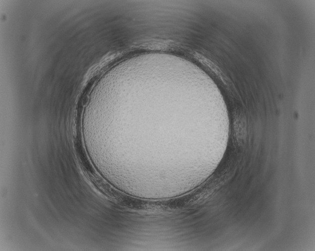 X0000080130682200701051420