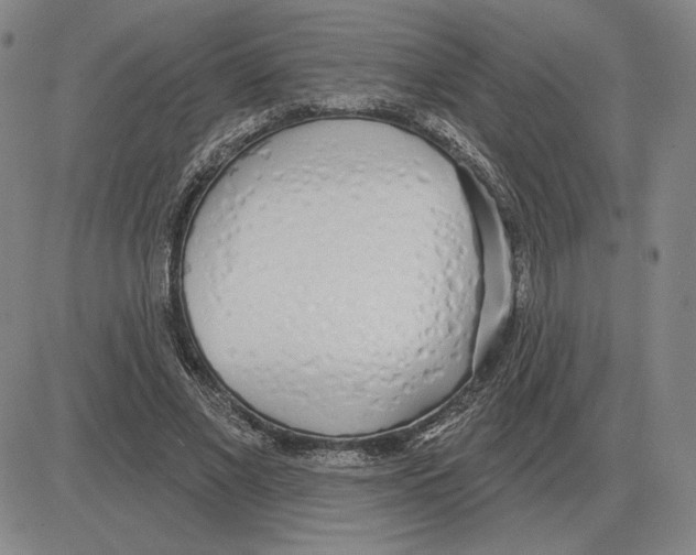 X0000080130685200701051420
