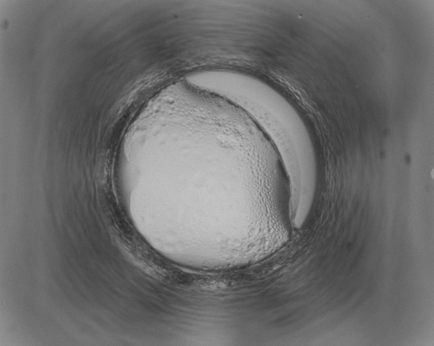 X0000080130687200701051420