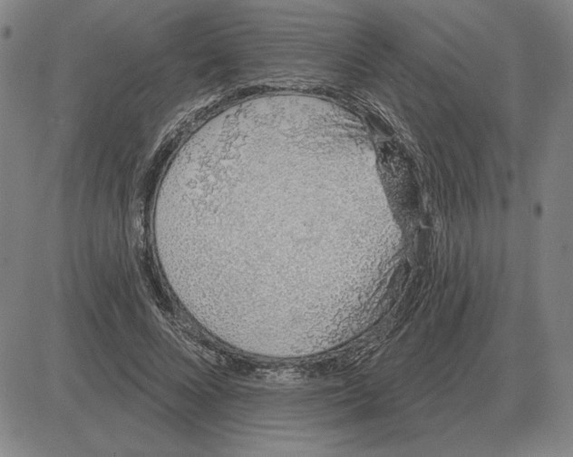 X0000080130688200701051420