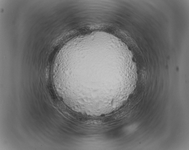 X0000080130691200701051420