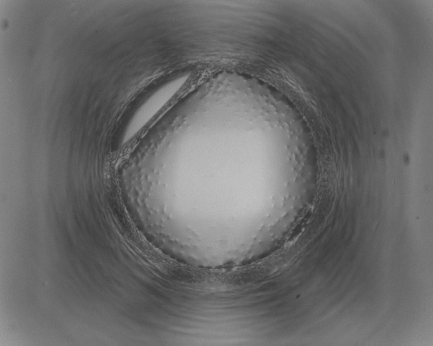 X0000080130692200701051420
