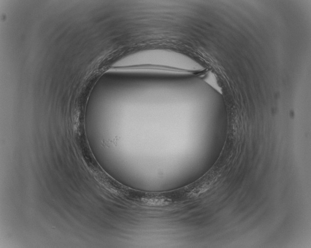 X0000080130693200701051420