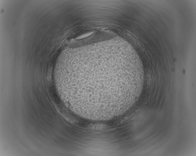 X0000080130695200701051420