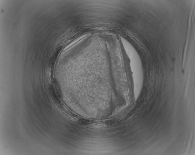 X0000080130696200701051419