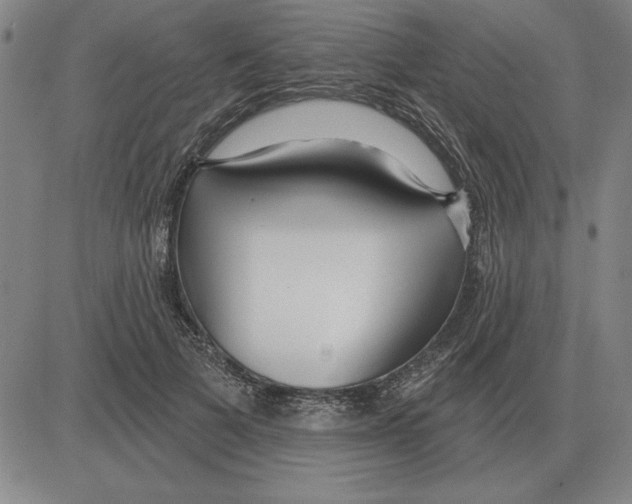 X0000080130697200701051419