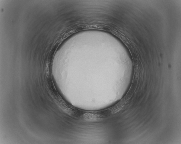 X0000080130699200701051419