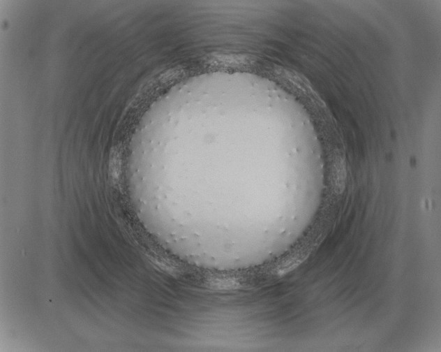 X0000080130701200701051419