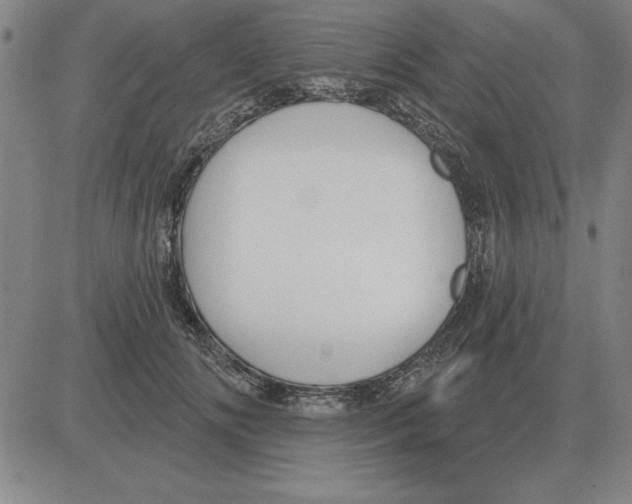 X0000080130702200701051419