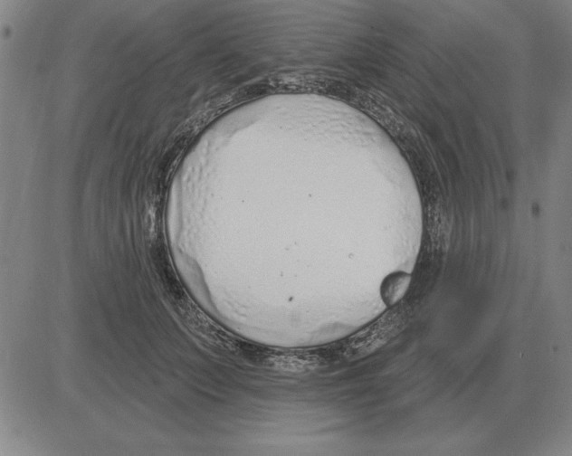 X0000080130703200701051419
