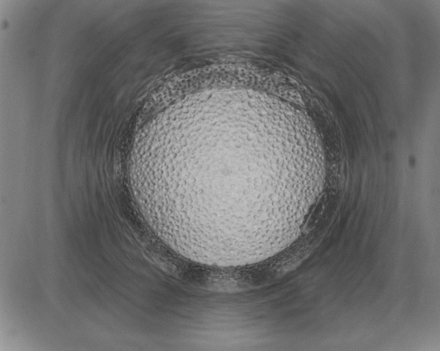 X0000080130704200701051419