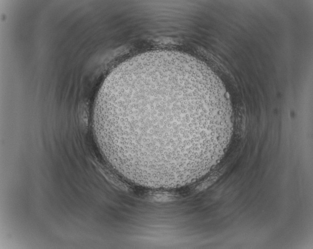 X0000080130710200701051419