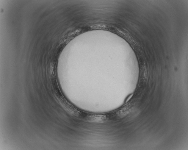X0000080130711200701051419