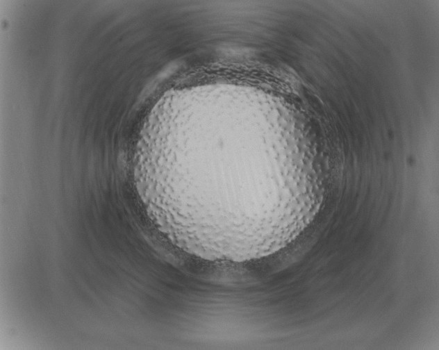 X0000080130716200701051419
