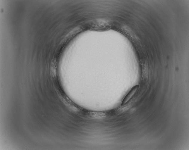 X0000080130719200701051419