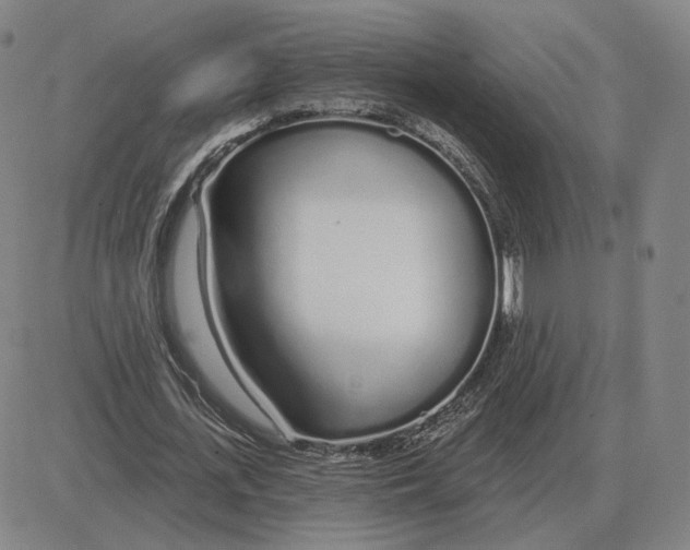 X0000080130723200701051418