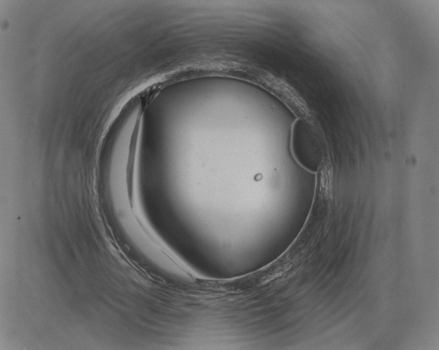 X0000080130724200701051418