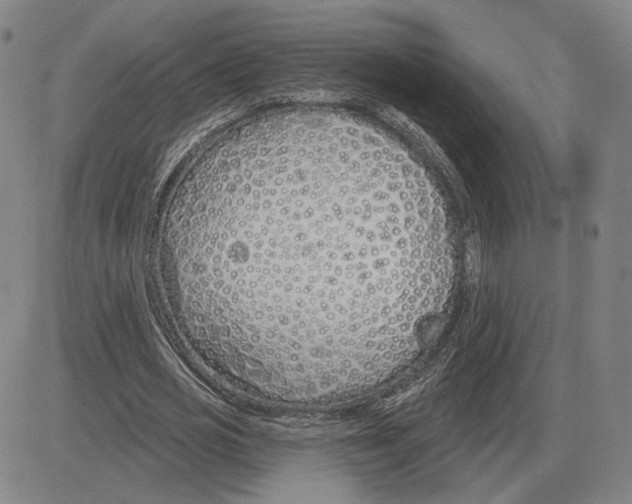 X0000080130725200701051418