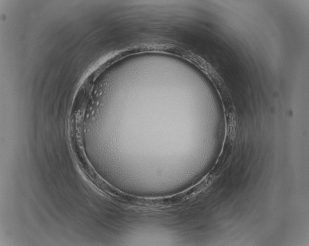X0000080130726200701051418