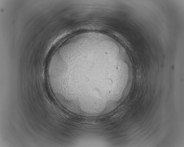 X0000080130727200701051418