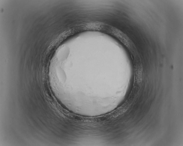 X0000080130729200701051418