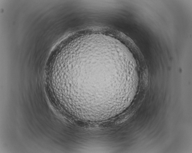 X0000080130730200701051418