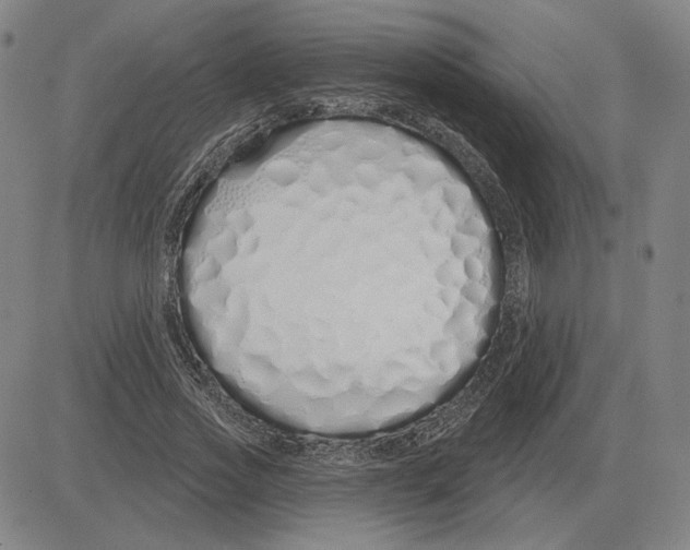 X0000080130733200701051419
