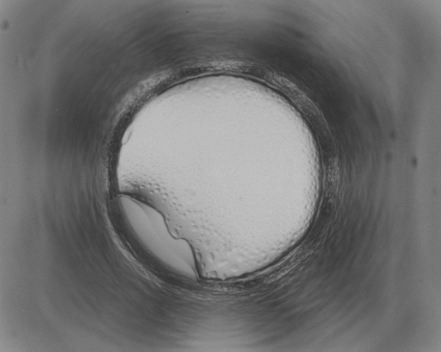 X0000080130734200701051419