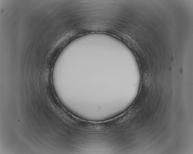 X0000080130735200701051419