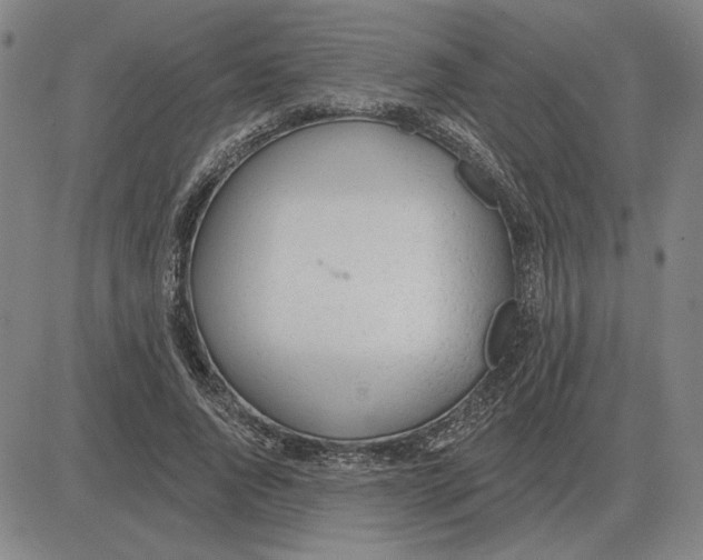 X0000080130736200701051419