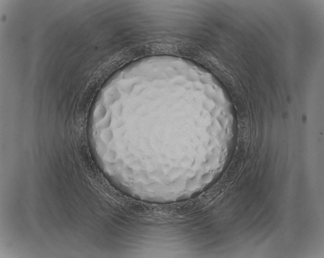 X0000080130737200701051419
