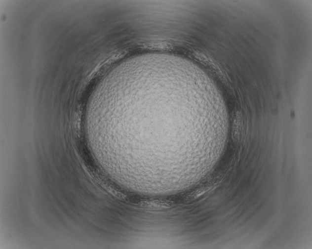 X0000080130739200701051419