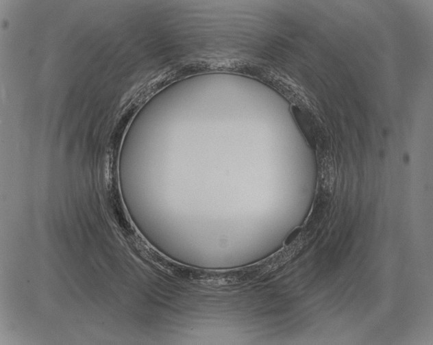 X0000080130740200701051419