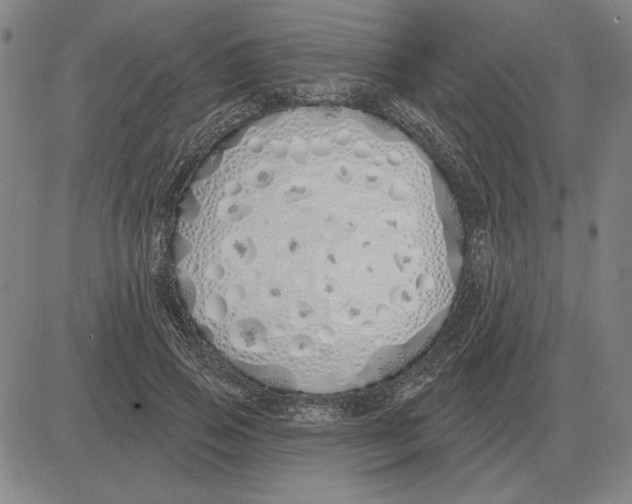 X0000080130741200701051419
