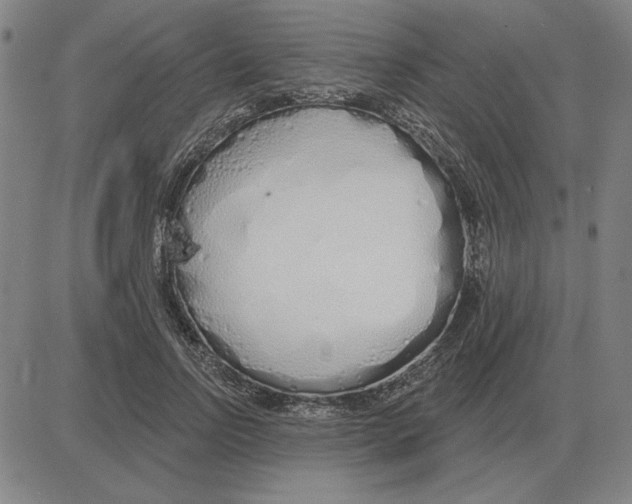 X0000080130742200701051419