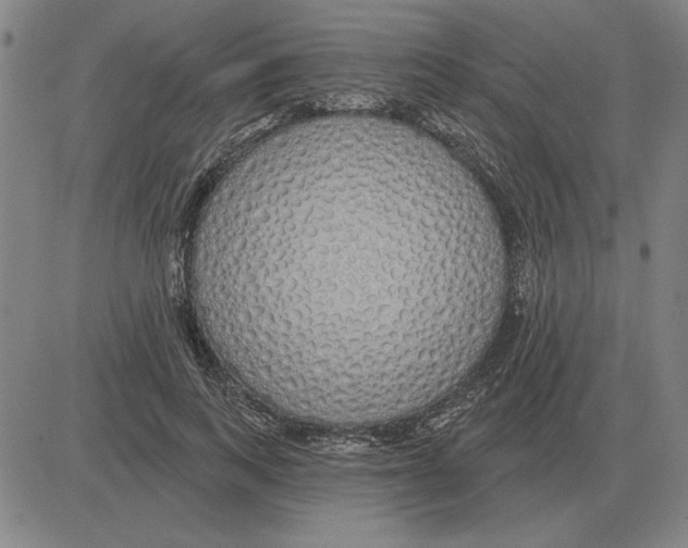 X0000080130743200701051419